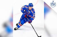 Чемпионат Высшей Хоккейной Лиги России