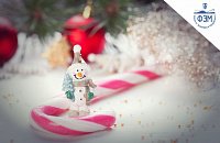 С наступающим Новым годом!
