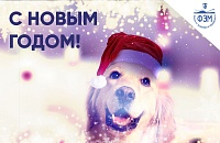С Новым годом 2018!
