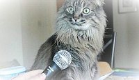 Проект приказа на отчисление